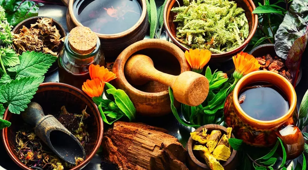chinese medicinal herbs